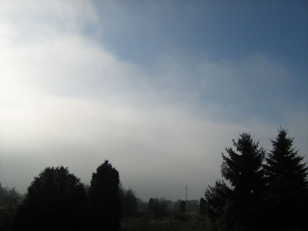 Znalezione obrazy dla zapytania mgły i stratus