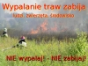 Wypalanie trawy