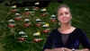 Aurorka przedstawia prognozę na mroźny marcowy weekend 16-17.03