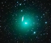 Kometa 41P.