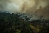 Pożary lasów Amazonii 